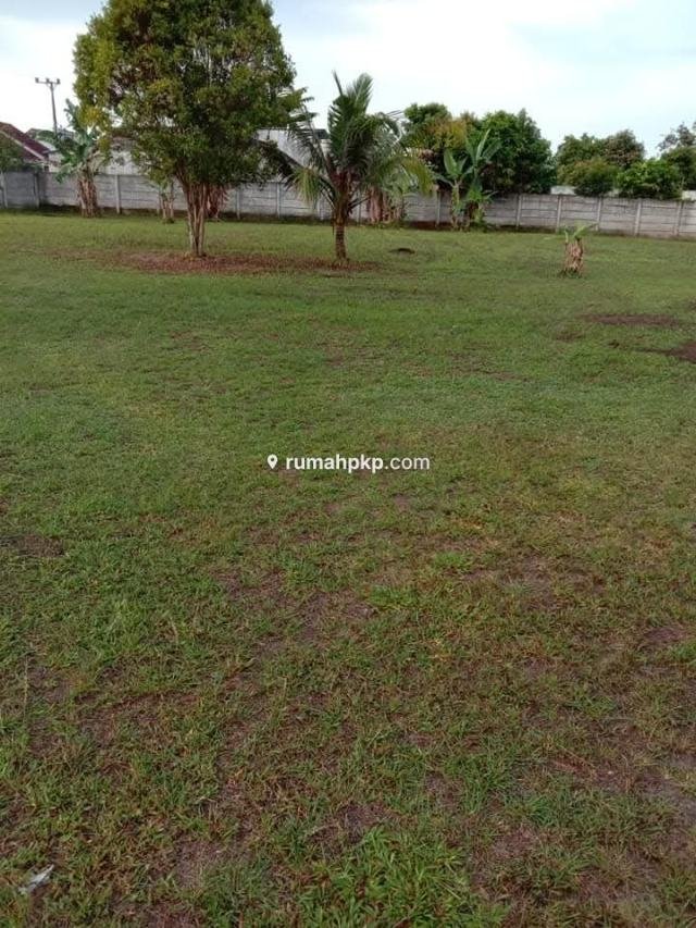 Tanah 3.456 m² SHM di Air Itam — Pinggir Jalan Aspal — foto 3